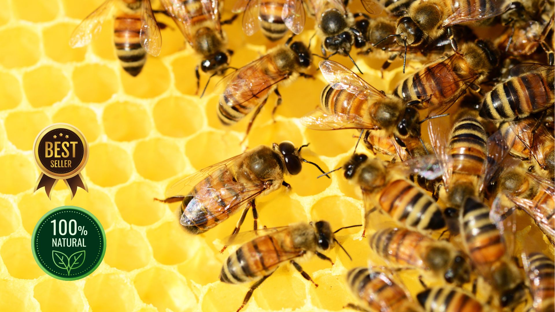 Honey